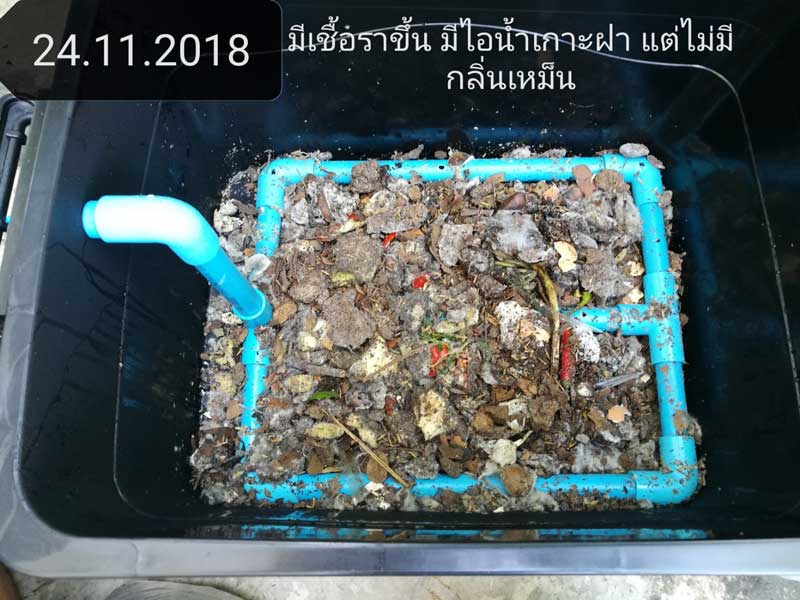 ทำปุ๋ยหมักจากเศษอาหาร ทำปุ๋ยหมักจากเศษอาหาร