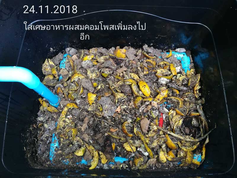 ทำปุ๋ยหมักจากเศษอาหาร ทำปุ๋ยหมักจากเศษอาหาร