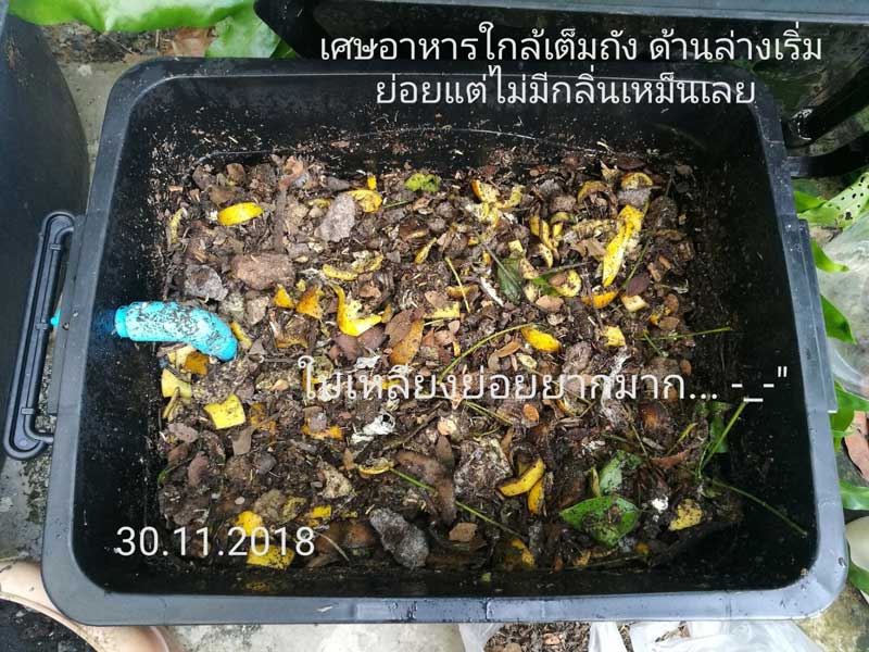 ทำปุ๋ยหมักจากเศษอาหาร ทำปุ๋ยหมักจากเศษอาหาร