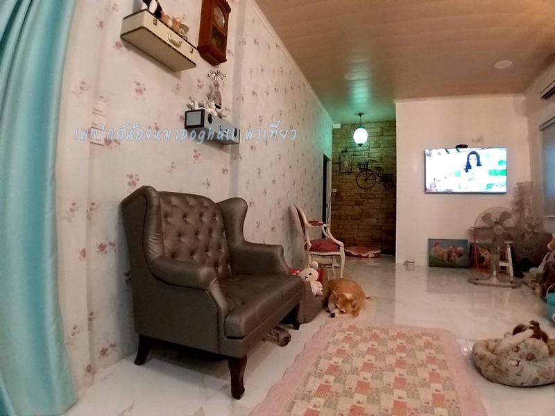 รีโนเวทบ้านเก่า 30 ปี รีโนเวทบ้านเก่า 30 ปี