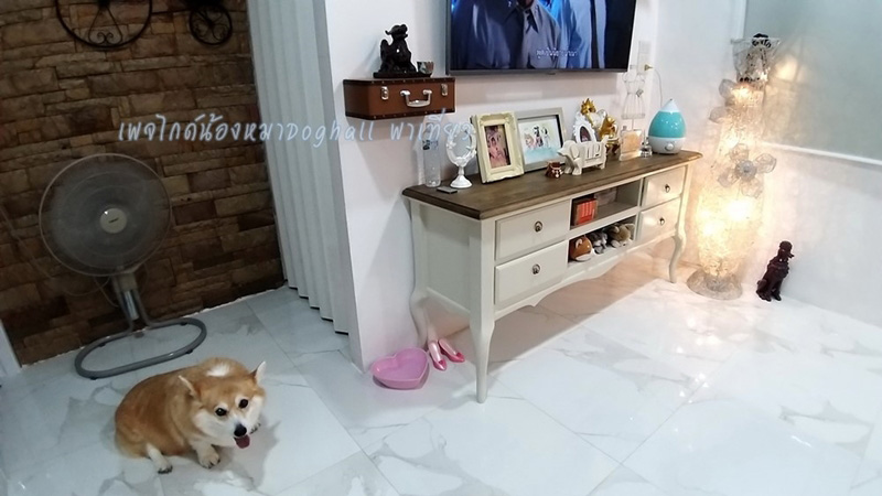 รีโนเวทบ้านเก่า 30 ปี รีโนเวทบ้านเก่า 30 ปี