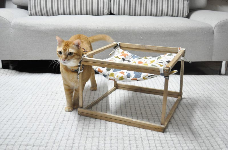 DIY เปลนอนแมว DIY เปลนอนแมว