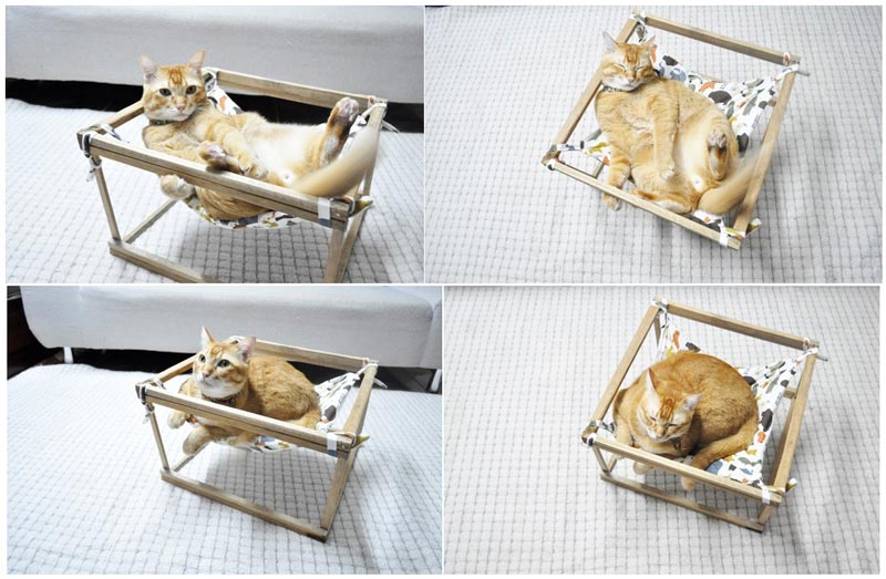 DIY เปลนอนแมว DIY เปลนอนแมว