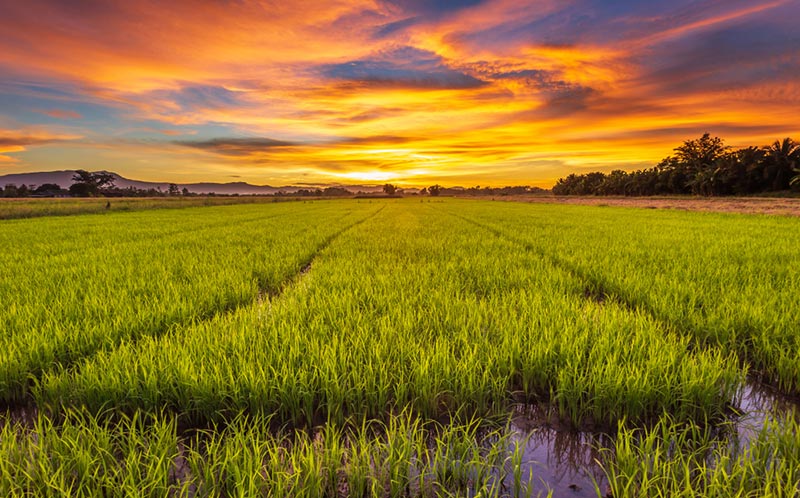 สถานที่จัดสัมมนาต่างจังหวัด สถานที่จัดสัมมนาต่างจังหวัด