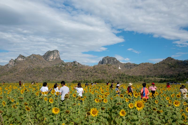 ที่เที่ยวลพบุรี ที่เที่ยวลพบุรี