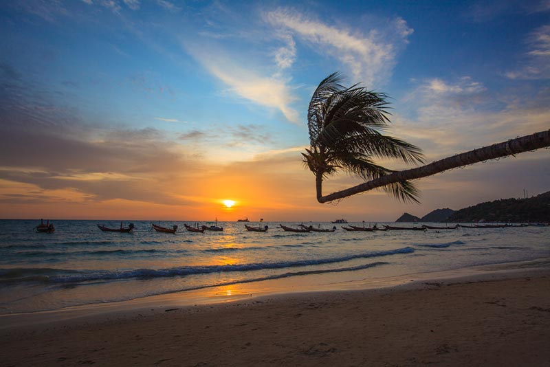 ชายหาดบรรยากาศโรแมนติก ชายหาดบรรยากาศโรแมนติก