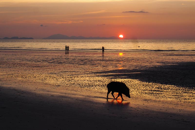 ชายหาดบรรยากาศโรแมนติก ชายหาดบรรยากาศโรแมนติก