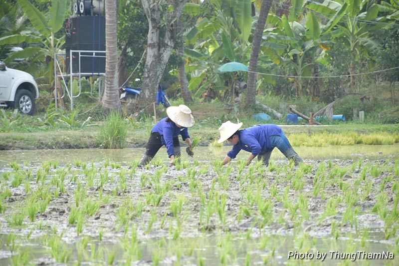 ที่เที่ยวใกล้กรุงเทพฯ ที่เที่ยวใกล้กรุงเทพฯ