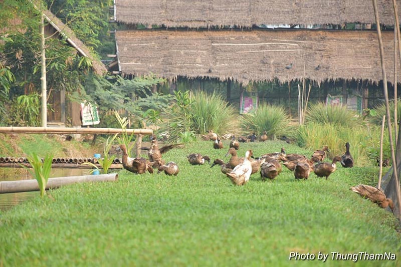 ที่เที่ยวใกล้กรุงเทพฯ ที่เที่ยวใกล้กรุงเทพฯ