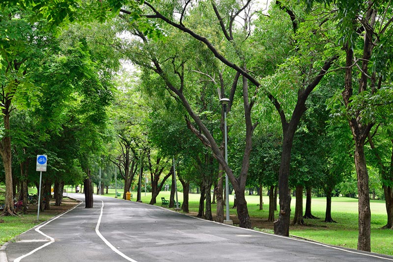 ที่เที่ยววาเลนไทน์ ปั่นจักรยานชิล ๆ ในสวนรถไฟ