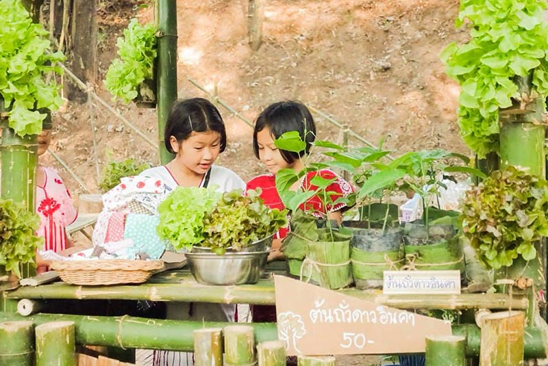 ตลาดโอ๊ะป่อย ตลาดโอ๊ะป่อย