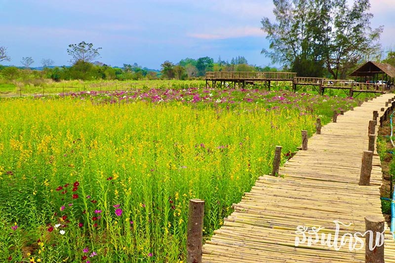 ที่เที่ยวใหม่ปี 2562 ที่เที่ยวใหม่ปี 2562