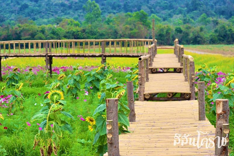 ที่เที่ยวใหม่ปี 2562 ที่เที่ยวใหม่ปี 2562