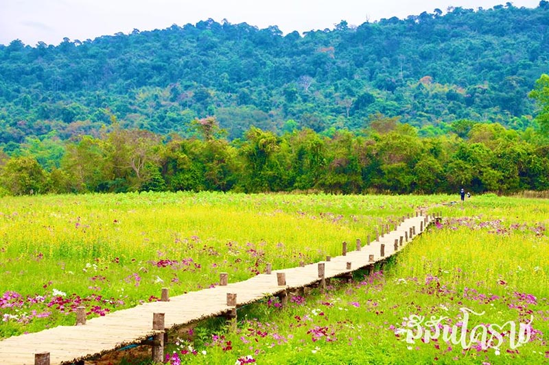 ที่เที่ยวใหม่ปี 2562 ที่เที่ยวใหม่ปี 2562