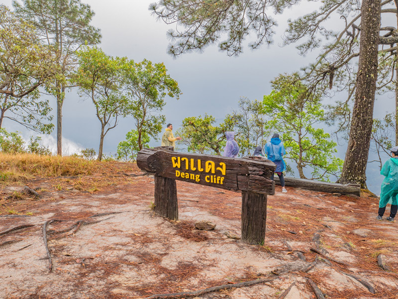 ภูกระดึง ผาแดง ที่เที่ยวในภูกระดึง