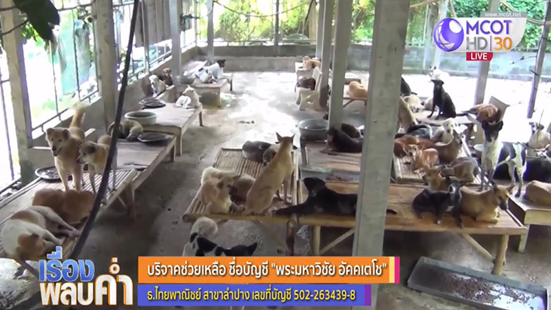 เจ้าอาวาสเตรียมปิดวัดเวฬุวนาราม หลังอาหารหมา 400 ตัว หมดเกลี้ยง วอนช่วยบริจาค เจ้าอาวาสเตรียมปิดวัดเวฬุวนาราม หลังอาหารหมา 400 ตัว หมดเกลี้ยง วอนช่วยบริจาค