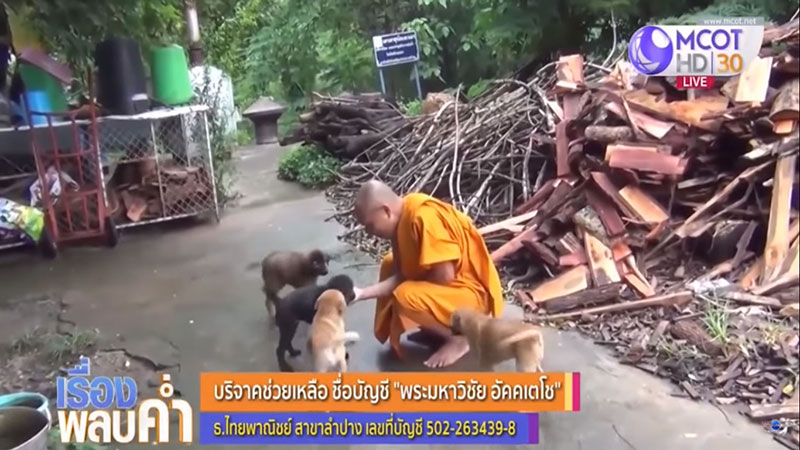 เจ้าอาวาสเตรียมปิดวัดเวฬุวนาราม หลังอาหารหมา 400 ตัว หมดเกลี้ยง วอนช่วยบริจาค เจ้าอาวาสเตรียมปิดวัดเวฬุวนาราม หลังอาหารหมา 400 ตัว หมดเกลี้ยง วอนช่วยบริจาค