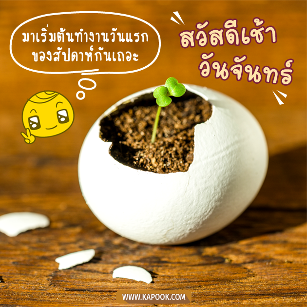 ดูดวงรายวัน ดูดวงรายวัน
