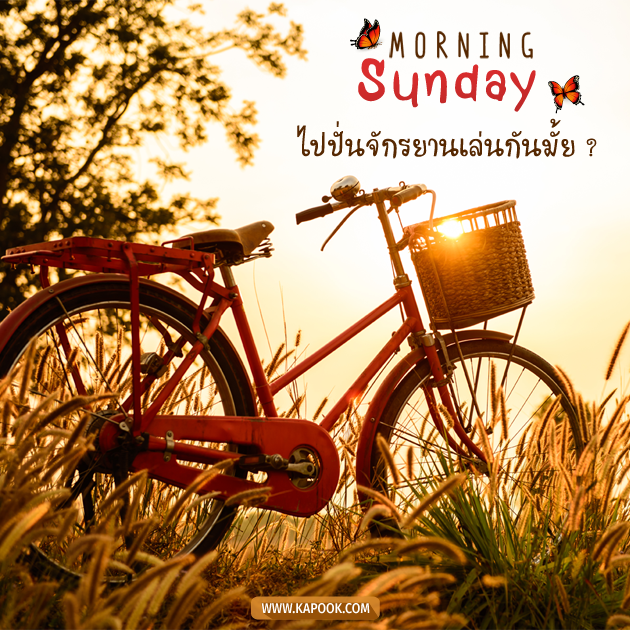 ดูดวงรายวัน ดูดวงรายวัน