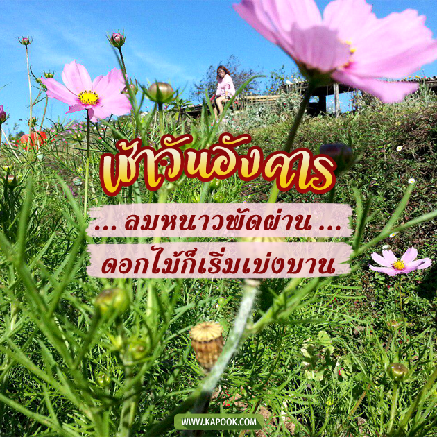 ดูดวงรายวัน ดูดวงรายวัน