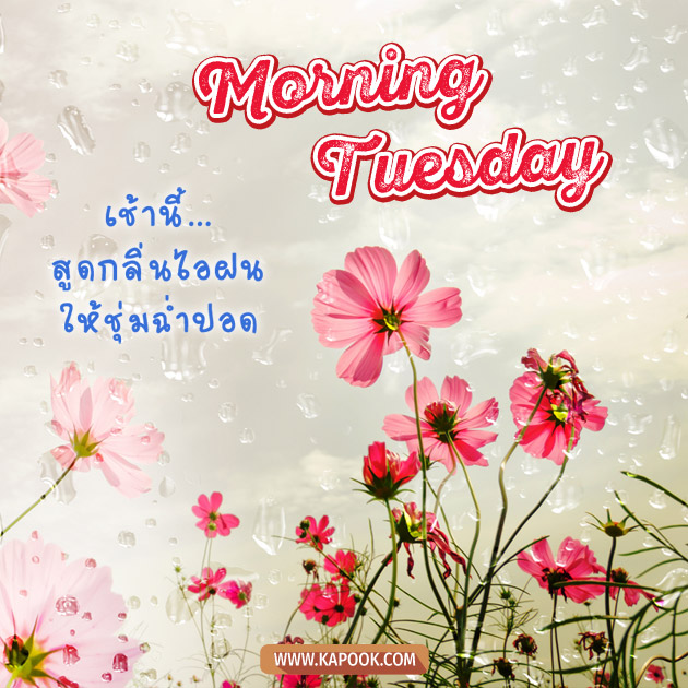 ดูดวงรายวัน ดูดวงรายวัน