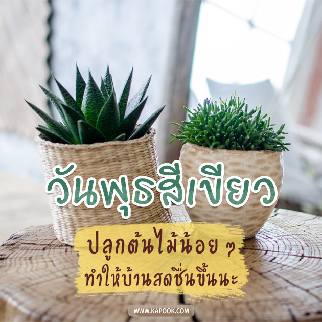 ดูดวงรายวัน ดูดวงรายวัน