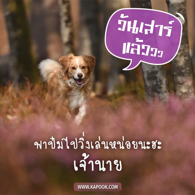 ดูดวงรายวัน ดูดวงรายวัน