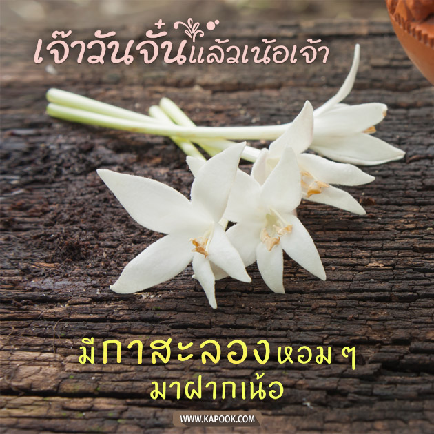 ดูดวงรายวัน ดูดวงรายวัน