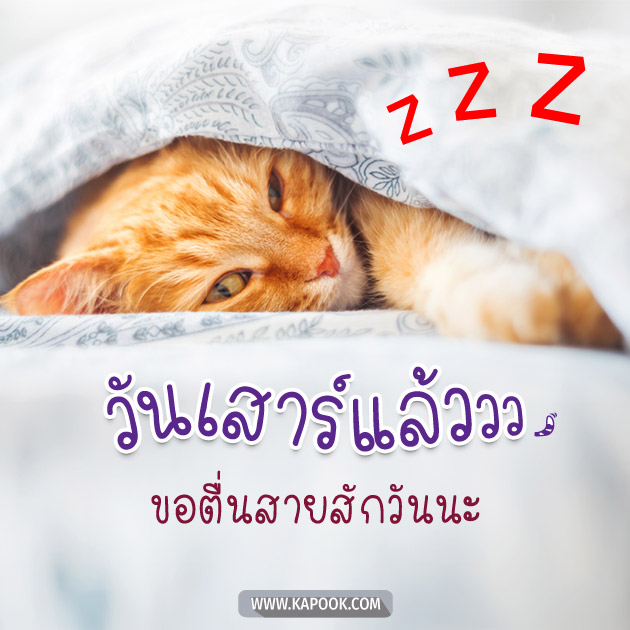 ดูดวงรายวัน ดูดวงรายวัน