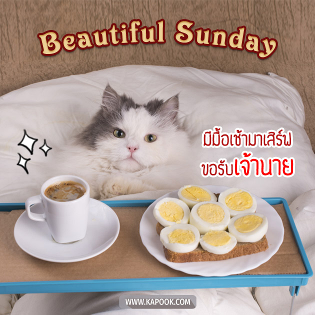 ดูดวงรายวัน ดูดวงรายวัน