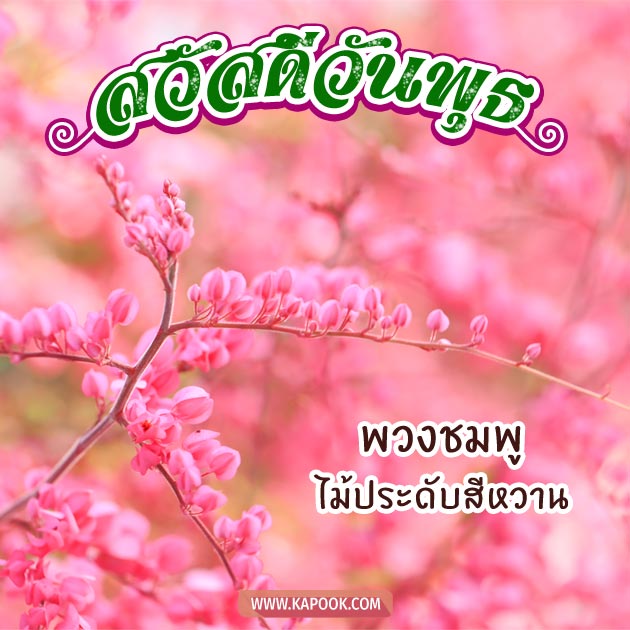 ดูดวงรายวัน ดูดวงรายวัน