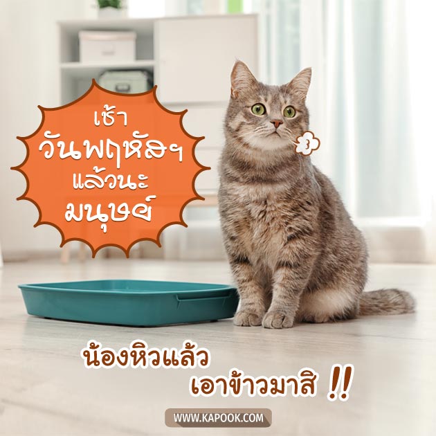 ดูดวงรายวัน ดูดวงรายวัน