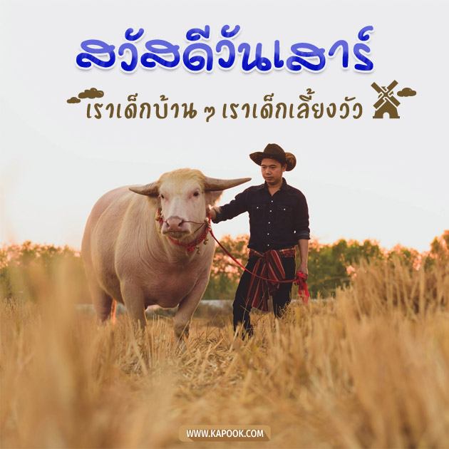 ดูดวงรายวัน ดูดวงรายวัน