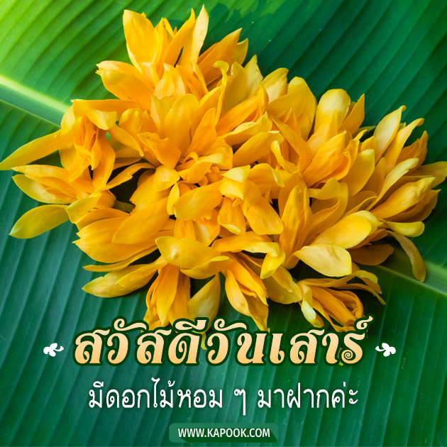 ดูดวงรายวัน ดูดวงรายวัน