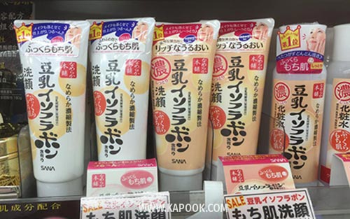 ของที่ต้องซื้อจากญี่ปุ่น ของที่ต้องซื้อจากญี่ปุ่น