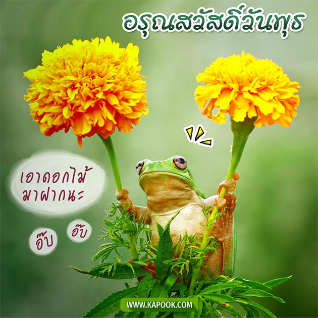 ดูดวงรายวัน ดูดวงรายวัน