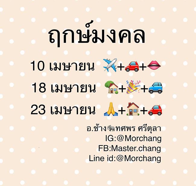 หมอช้าง ทศพร หมอช้าง ทศพร