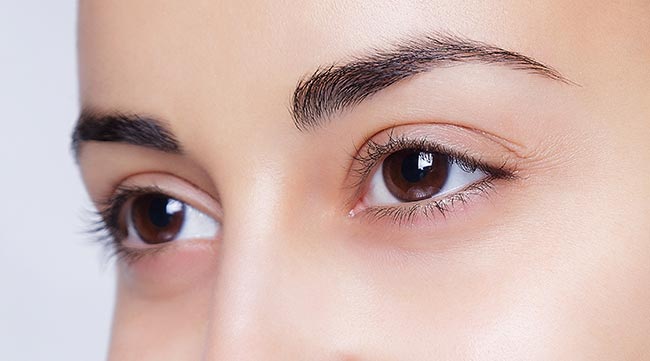 คิ้ว คิ้ว