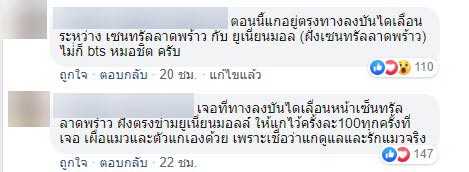 ลุงดำคนรักแมว ลุงดำคนรักแมว