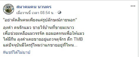 ลุงดำคนรักแมว ลุงดำคนรักแมว