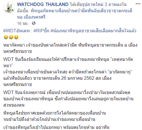 ฟันพิทบูลขาขาด ฟันพิทบูลขาขาด