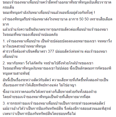 ฟันพิทบูลขาขาด ฟันพิทบูลขาขาด