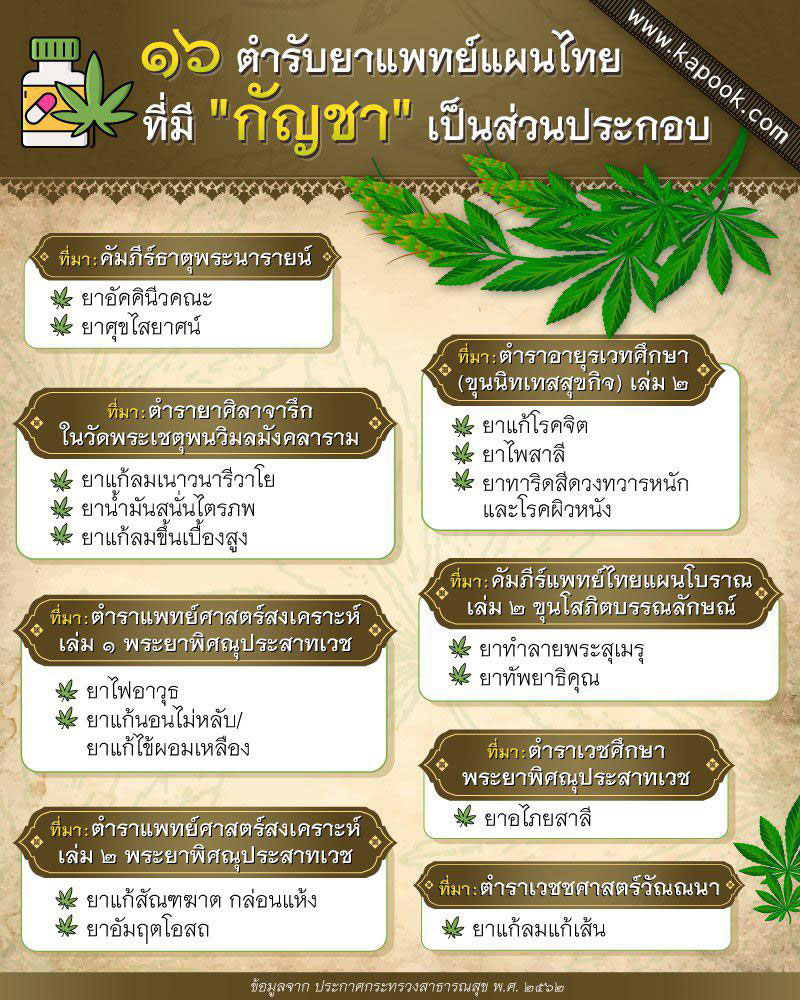 สรรพคุณกัญชา สรรพคุณกัญชา