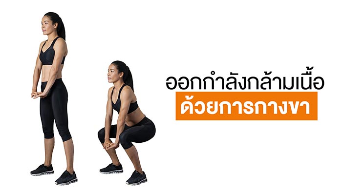 วิ่งออกกำลังกาย วิ่งออกกำลังกาย