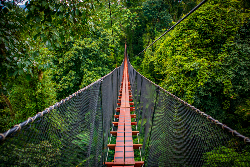 ที่เที่ยวเชียงราย DoiTung Tree Top Walk สวนแม่ฟ้าหลวง