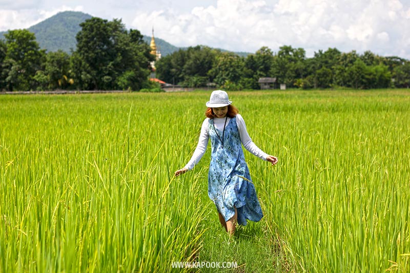 ที่เที่ยวสุโขทัย ที่เที่ยวสุโขทัย