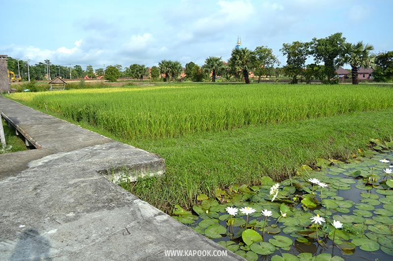 ที่เที่ยวสุโขทัย ที่เที่ยวสุโขทัย