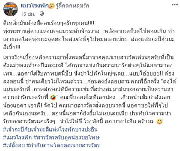 มะลิ กะปิ แมวโรงพัก มะลิ กะปิ แมวโรงพัก