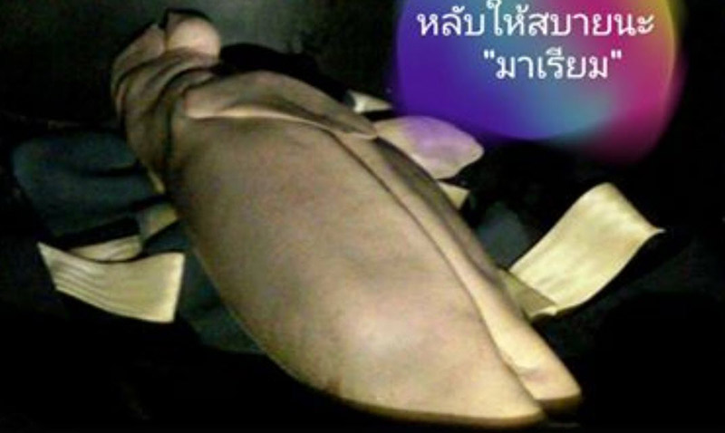 ทิ้งขยะลงทะเล ทิ้งขยะลงทะเล