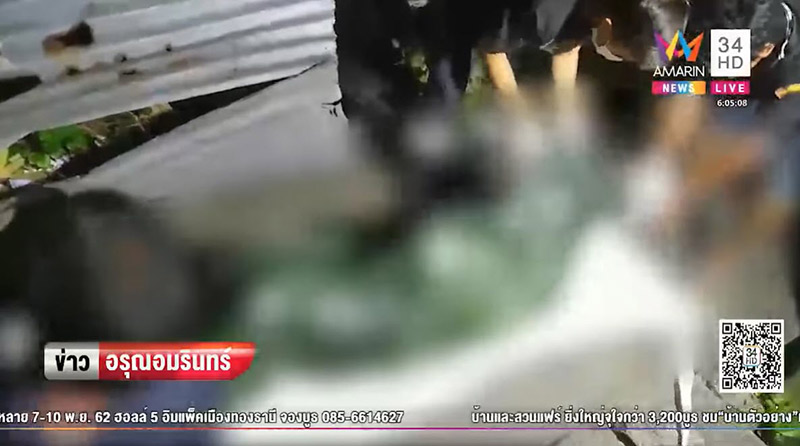 ตัวเหี้ยแทะศพ ตัวเหี้ยแทะศพ